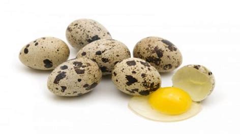Перепелиные яйца повышение потенции